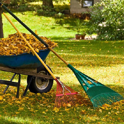 Fall Leaves & Yard Litter Best Management Practices